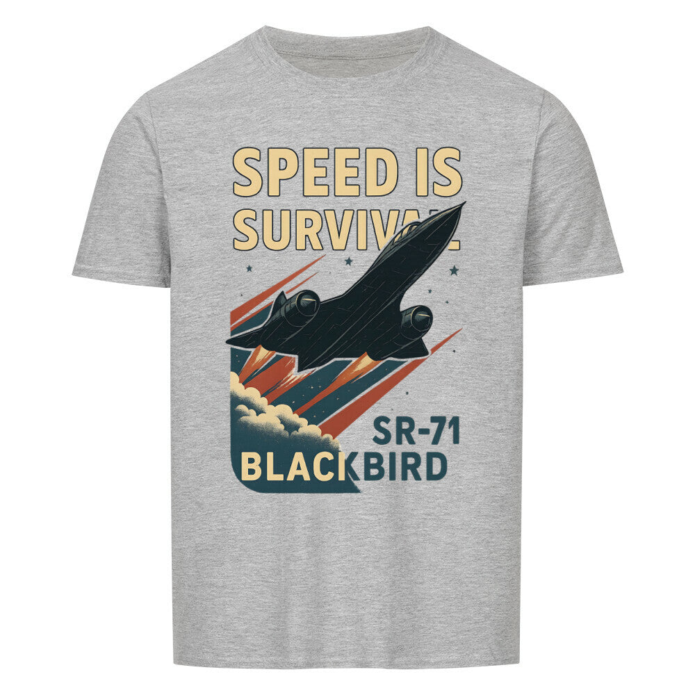 Image for color: sport grey